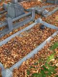 image of grave number 171799